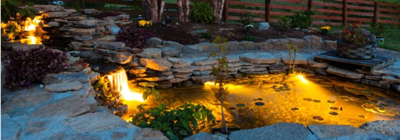 éclairage bassin jardin